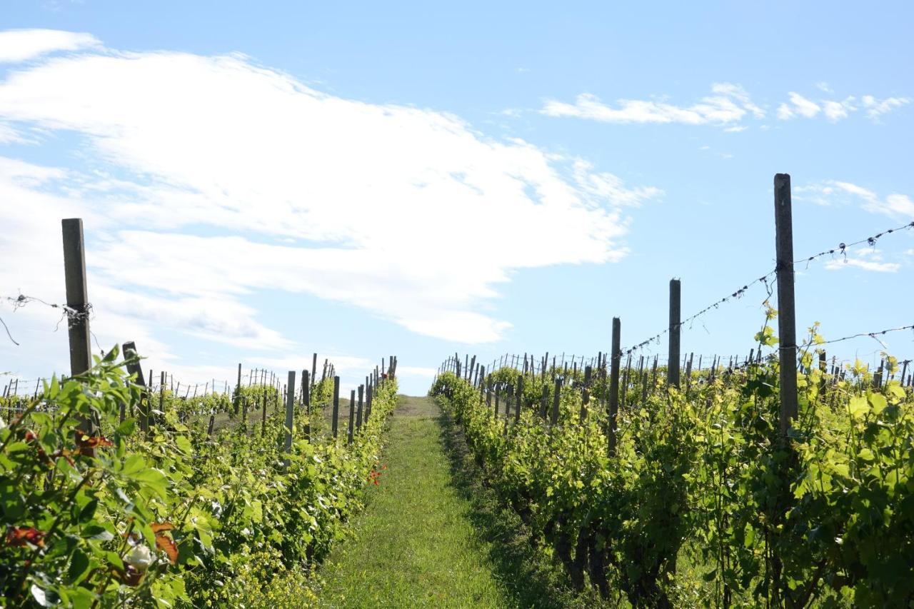 Naturalmente Wine Resort Agliano Terme Zewnętrze zdjęcie