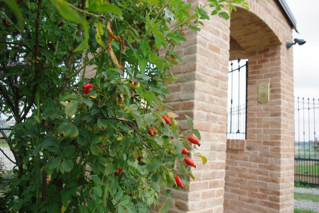 Naturalmente Wine Resort Agliano Terme Zewnętrze zdjęcie