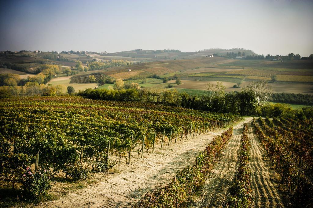 Naturalmente Wine Resort Agliano Terme Zewnętrze zdjęcie