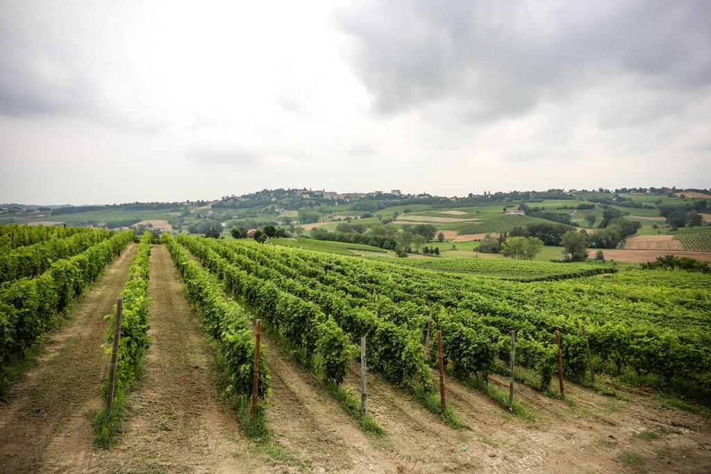 Naturalmente Wine Resort Agliano Terme Zewnętrze zdjęcie