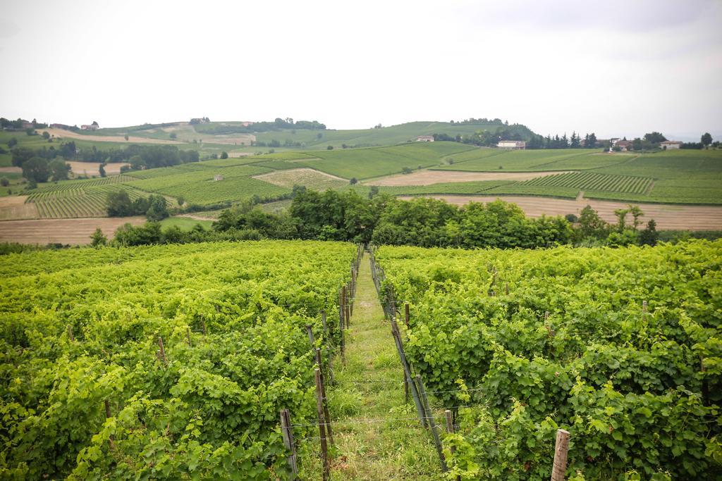 Naturalmente Wine Resort Agliano Terme Zewnętrze zdjęcie